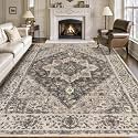Tangsoo 8x10 Washable Area Rugs for Living