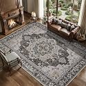 Tangsoo 8x10 Washable Area Rugs for Living