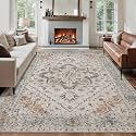 Tangsoo 8x10 Washable Area Rugs for Living