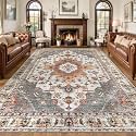 Tangsoo 9x12 Washable Area Rugs for Living