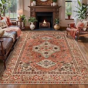 Tangsoo Boho 4x6 Area Rug for Living