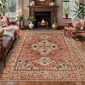 Tangsoo Boho 4x6 Area Rug for Living