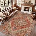 Tangsoo Boho 6x9 Washable Area Rugs Vintage