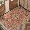 Tangsoo Boho Small Area Rug 2x3 Washable