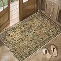Tangsoo Brown 2x3 Washable Rugs for Entryway
