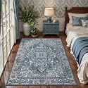 Tangsoo Farmhouse 3x5 Rugs Washable Non Slip