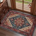 Tangsoo Oriental 2x3 Washable Rugs for Entryway