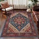 Tangsoo Oriental 3x5 Rugs Washable Non Slip
