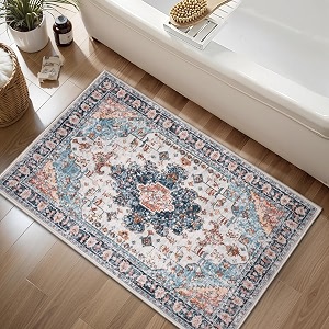 Tangsoo Vintage 2x3 Washable Rugs for Entryway