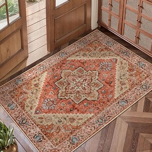 Tangsoo Vintage 2x3 Washable Rugs for Entryway