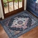 Tangsoo Vintage 2x3 Washable Rugs for Entryway