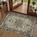 Tangsoo Vintage 2x3 Washable Rugs for Entryway
