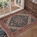 Tangsoo Vintage 2x3 Washable Rugs for Entryway