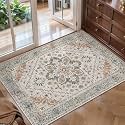Tangsoo Vintage 2x3 Washable Rugs for Entryway