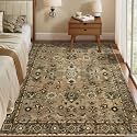 Tangsoo Vintage 3x5 Area Rugs Washable Non