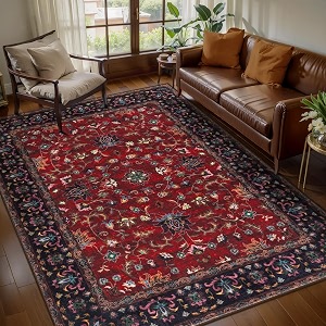 Tangsoo Vintage 3x5 Rugs Washable Non Slip