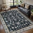 Tangsoo Vintage 3x5 Rugs Washable Non Slip