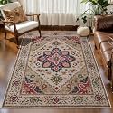 Tangsoo Vintage 3x5 Rugs Washable Non Slip