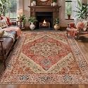 Tangsoo Vintage 4x6 Area Rugs for Living