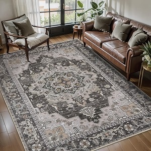 Tangsoo Vintage 4x6 Washable Area Rug for