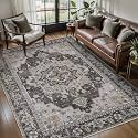 Tangsoo Vintage 4x6 Washable Area Rug for