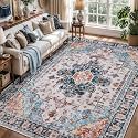 Tangsoo Vintage 4x6 Washable Area Rug for