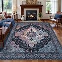 Tangsoo Vintage 4x6 Washable Area Rug for