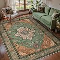 Tangsoo Vintage 4x6 Washable Area Rug for