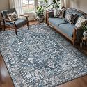 Tangsoo Vintage 4x6 Washable Area Rug for