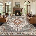 Tangsoo Vintage 6x9 Washable Area Rug for