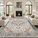 Tangsoo Vintage 6x9 Washable Area Rugs for