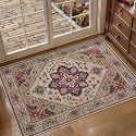 Tangsoo Vintage Small Area Rug 2x3 Washable