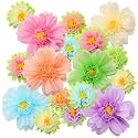 TaoBary Giant Tissue Paper Flowers, 20",10", Pastel Color, 24 Pcs
