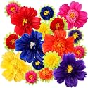 TaoBary Giant Tissue Paper Flowers, 20",10", Dark Colors, 12 Pcs