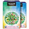 TE-A-ME Assorted Iced Tea Bags, 30 Pyramid Sachets (15 x 2) | Sugar-Free Cold Brew Collection | Pack of 2