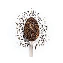 Tea Culture of The World Dream Brews | Darjeeling 50 Gram Loose Leaf Green Tea With Telescopic Tea Infuser | Healthy Gifting For Your Loved Ones - Premium Gift Box Ones - Premium Gift Box
