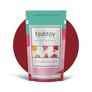 teastoy strong and highly flavourful ice teacold brew wildberry flavour iced tea  1 pouch 240 grams 80 cups