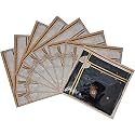 Techhark® Saree Covers for Storage, Set of 06 Peice Transparent Sari Bag with Zip (Stainless Lock) (Coffee)