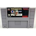 Tecmo Super Bowl