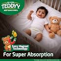 TEDDYY Easy Baby XXL Size Diaper Pant