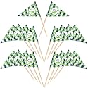 Teenyyou 50 Pcs Golf Cupcake Toppers Hole in One Birthday Decorations 1st Golf Cocktail Picks Mini Stick Cupcake Toppers Flags for Baby 1st Birthday Party Food Bar Decorations Supplies(Check Pattern)