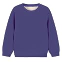 TeeWee Boys and Girls Premium Cotton Sweatshirt