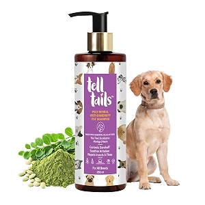 anti-dandruff pet shampoo  250 ml  prevents dandruff amp repels ticks amp fleas  improves scalp health amp boosts coat shine  tea tree eucalyptus moringa amp neem  for labrador amp all breeds