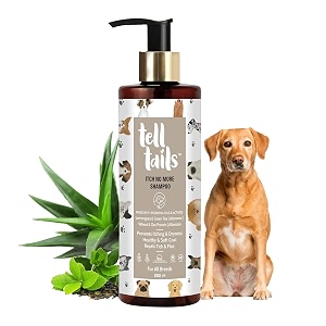 itch no more dog shampoo - 250ml - prevents itching removes ticks amp fleas - softens strengthens amp adds shine - lemongrass green tea aloe vera oat protein - for shih tzu amp all breeds