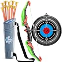 TEMI Bow and Arrow Set for Kids - Archery Toy Set - LED Light Up with Suction Cup Arrows, Target &amp; Quiver, Indoor and Outdoor Toys for Children Boys Girls