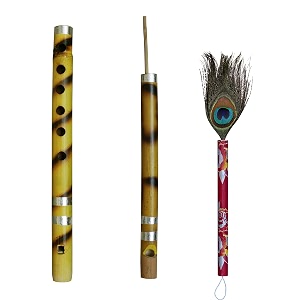 templeshop various bundles of musial instruments for kids 2 flute peacok feather
