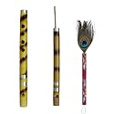 Templeshop Various Bundles of Musial Instruments for Kids (2 Flute Peacok Feather)
