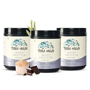 terra origin grass-fed chocolate whey protein 25 gm protein 15 serving scoops high in bcaas and gluten free to helps build your muscle size pack of 3 x 560gm
