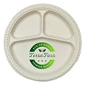 Disposable Plates 100% Biodegradable | 10 inch 3-Compartment Round | 100 Pack | Premium & Non-Soggy | Cornstarch Made Disposable Plates | Paper Plates (10 inch, 100)