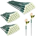 Tessco for you 72 Pcs Floral Water Tubes 12 Inch, 6 Inch for Flower, Green